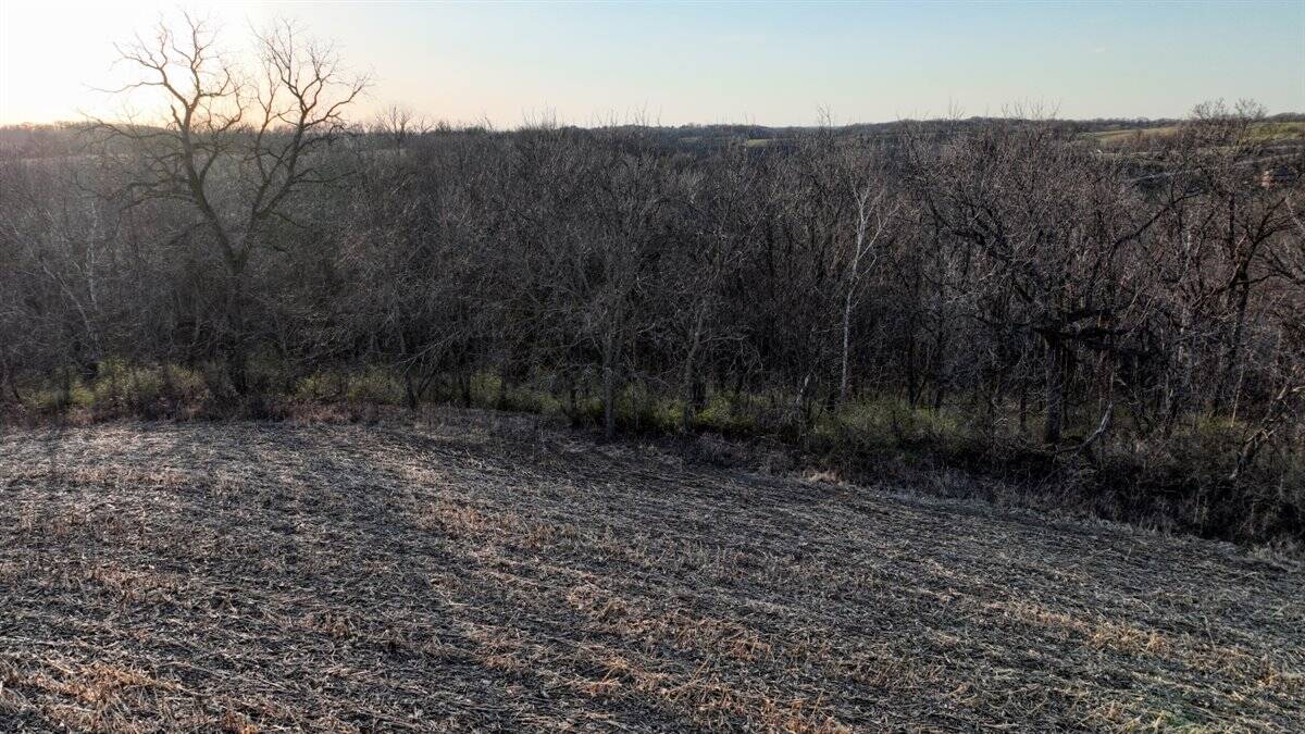 Rare Driftless Area Retreat: 28+/- Acres in Crawford County, WI