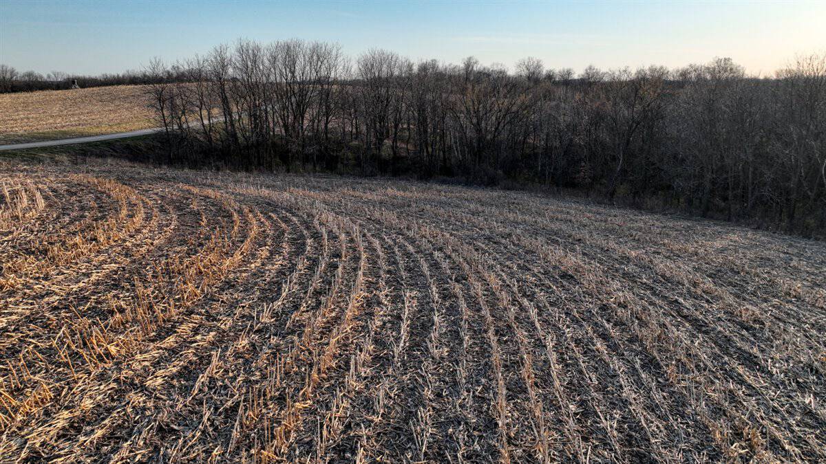Rare Driftless Area Retreat: 28+/- Acres in Crawford County, WI