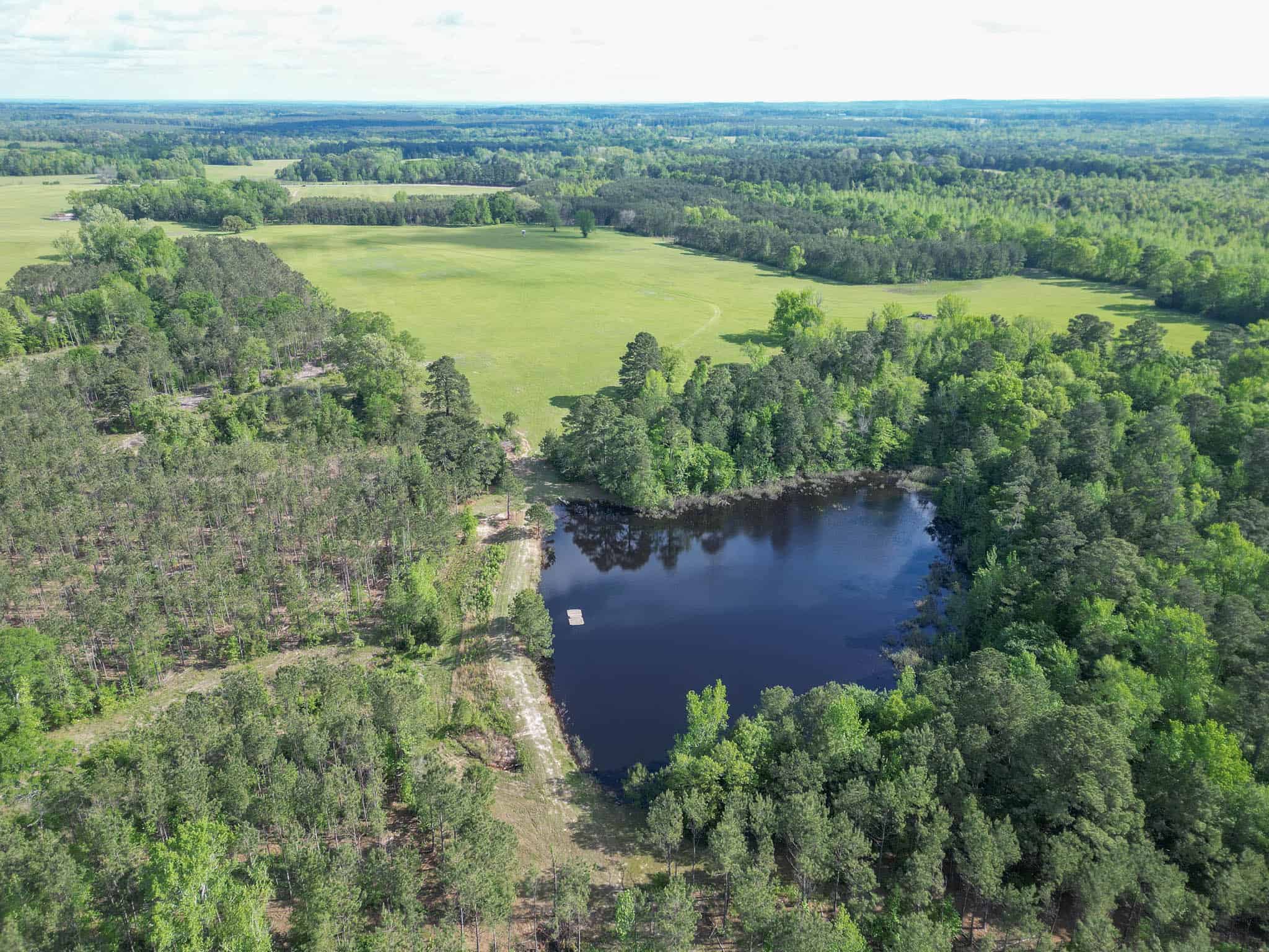Twin Pine Ranch, An Exceptional East Texas Ranch Property