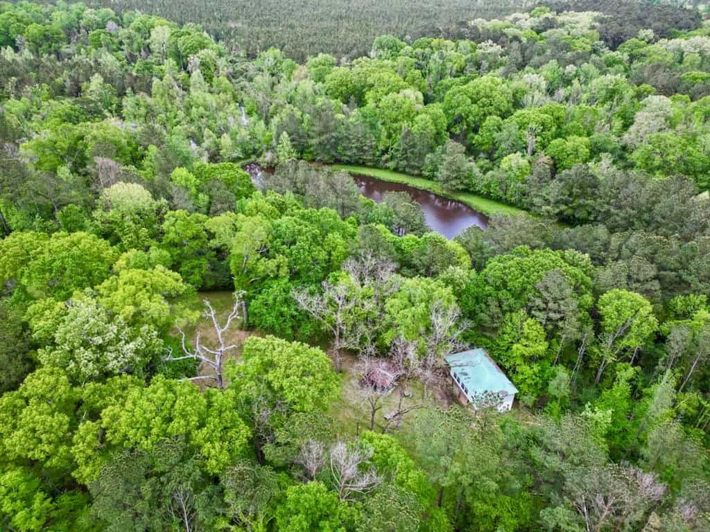 183 Acres and Camp for Sale with Lake, Timber Amite Co., MS