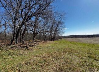 2 Properties Marquette County Online Only Auction