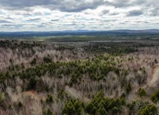 40.8 Acres of Off-Grid Paradise in Lakeville, Maine