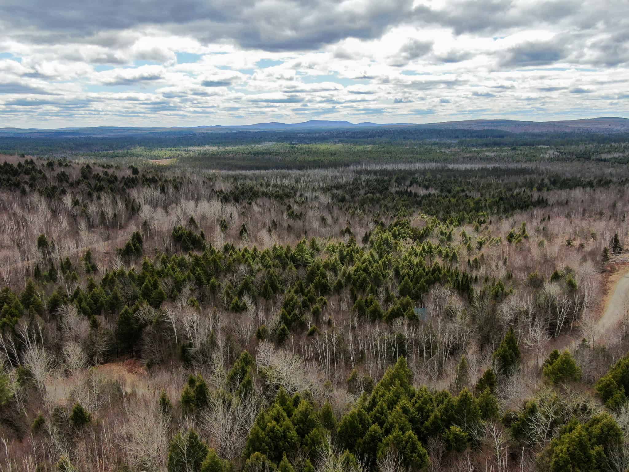 40.8 Acres of Off-Grid Paradise in Lakeville, Maine