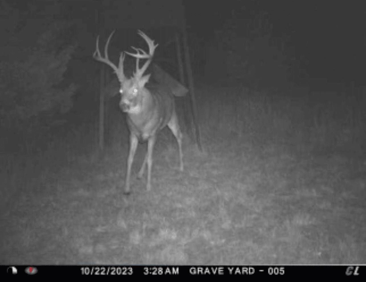 578± Acres – Premier Hunting & Recreational Ranch in Barber County, Kansas