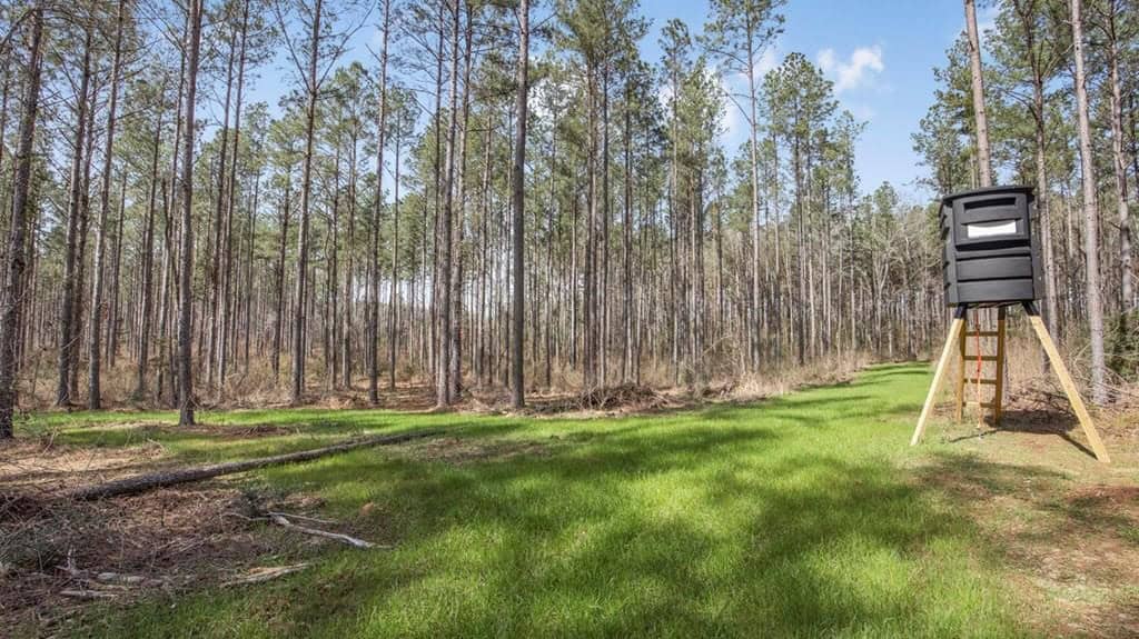 Amite County Hunting Land for Sale