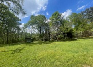 Amite County 38.6 Acres For Sale