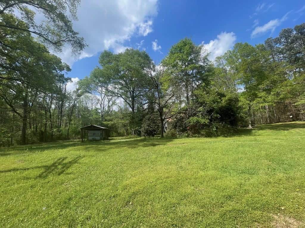 Amite County 38.6 Acres For Sale