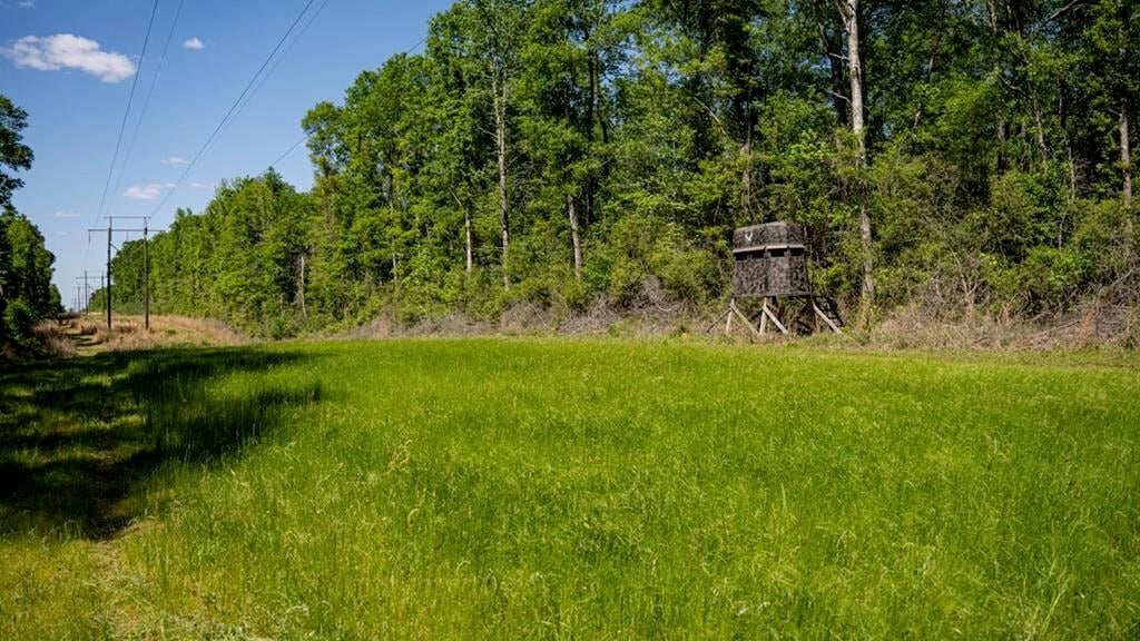 Deer and Turkey Property in Pike County, MS