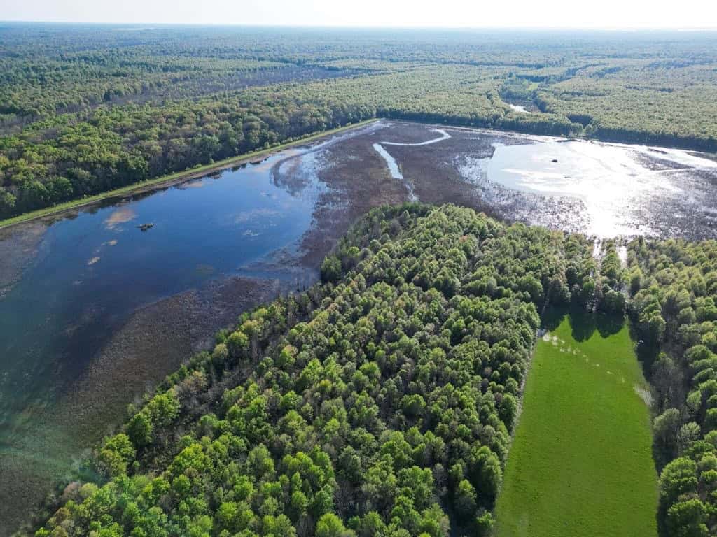 Legacy Waterfowl Hunting in the Mississippi Delta