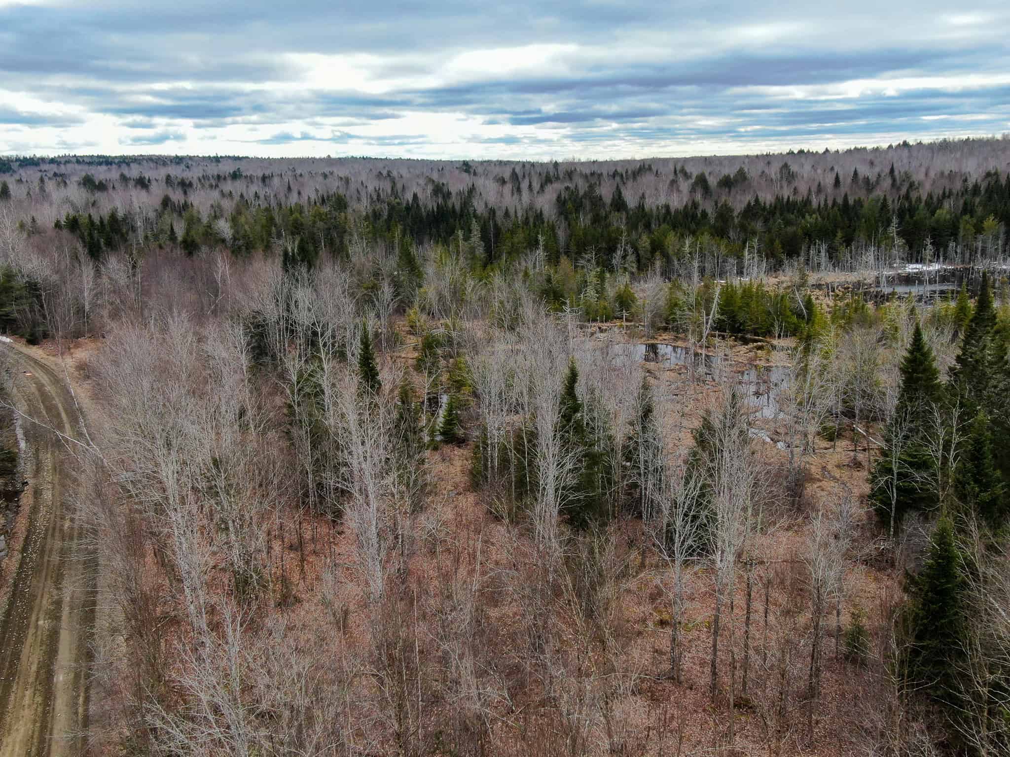 46.8 Acres of Maine Land for Sale – Remote, Forested, Affordable