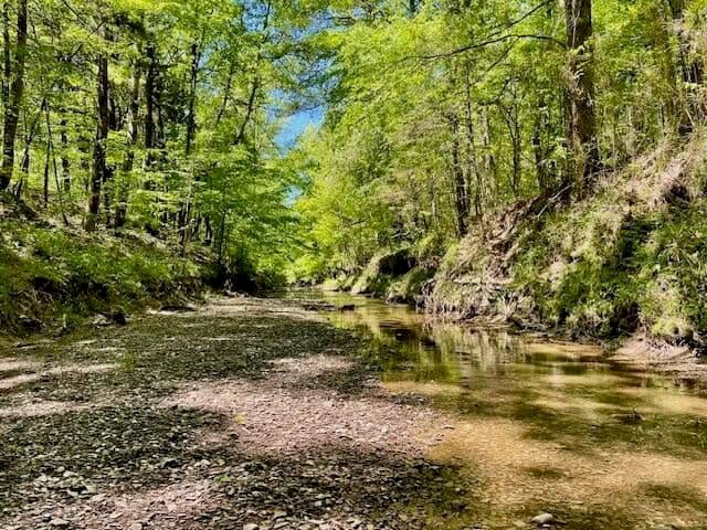 69 Acres For Sale Starkville MS