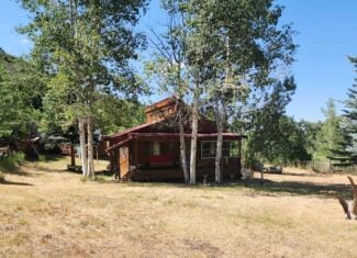 Cabin on 36 Acres with National Forest Access