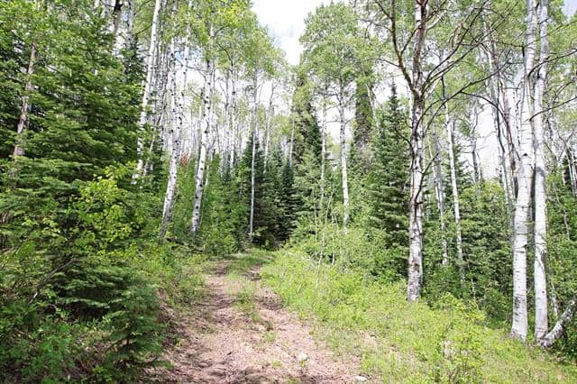 Colorado Hunting Land For Sale Near Vega State Park