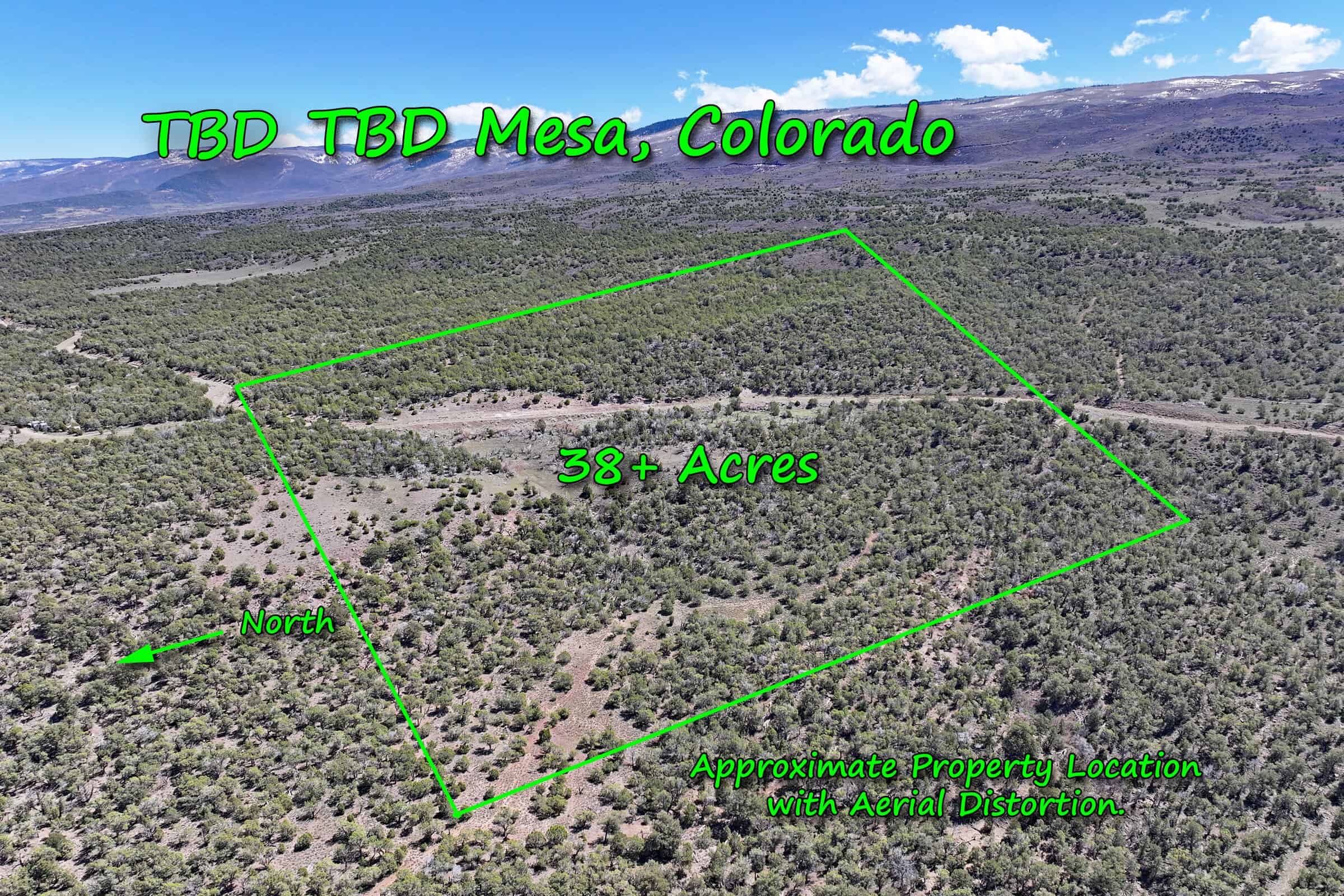 Colorado Mountain Vacant Land in GMU 421 Bordering BLM in Mesa County