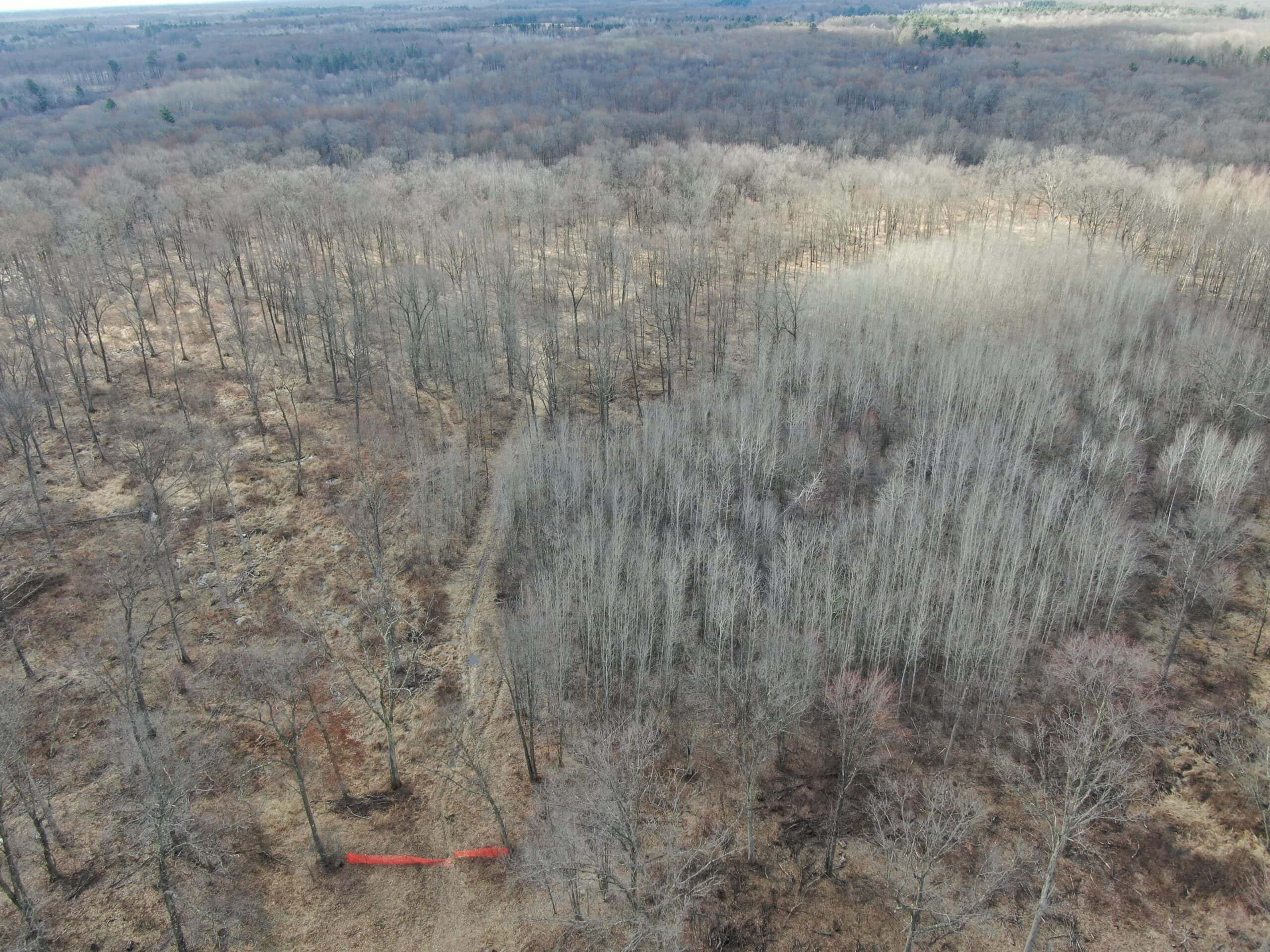 75-acre parcel in the heart of Clark County Wisconsin
