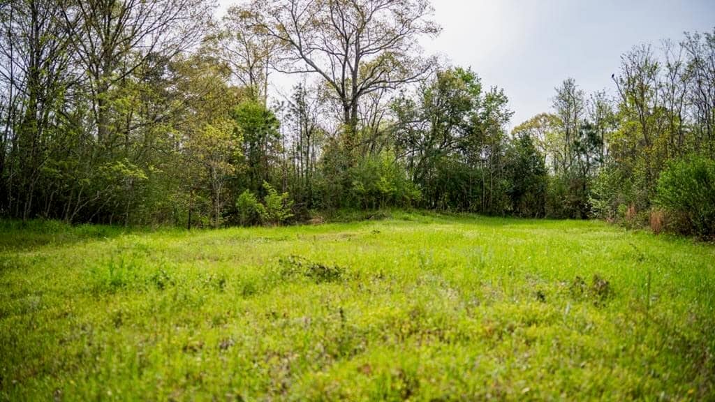 Affordable Property in Woodville, MS