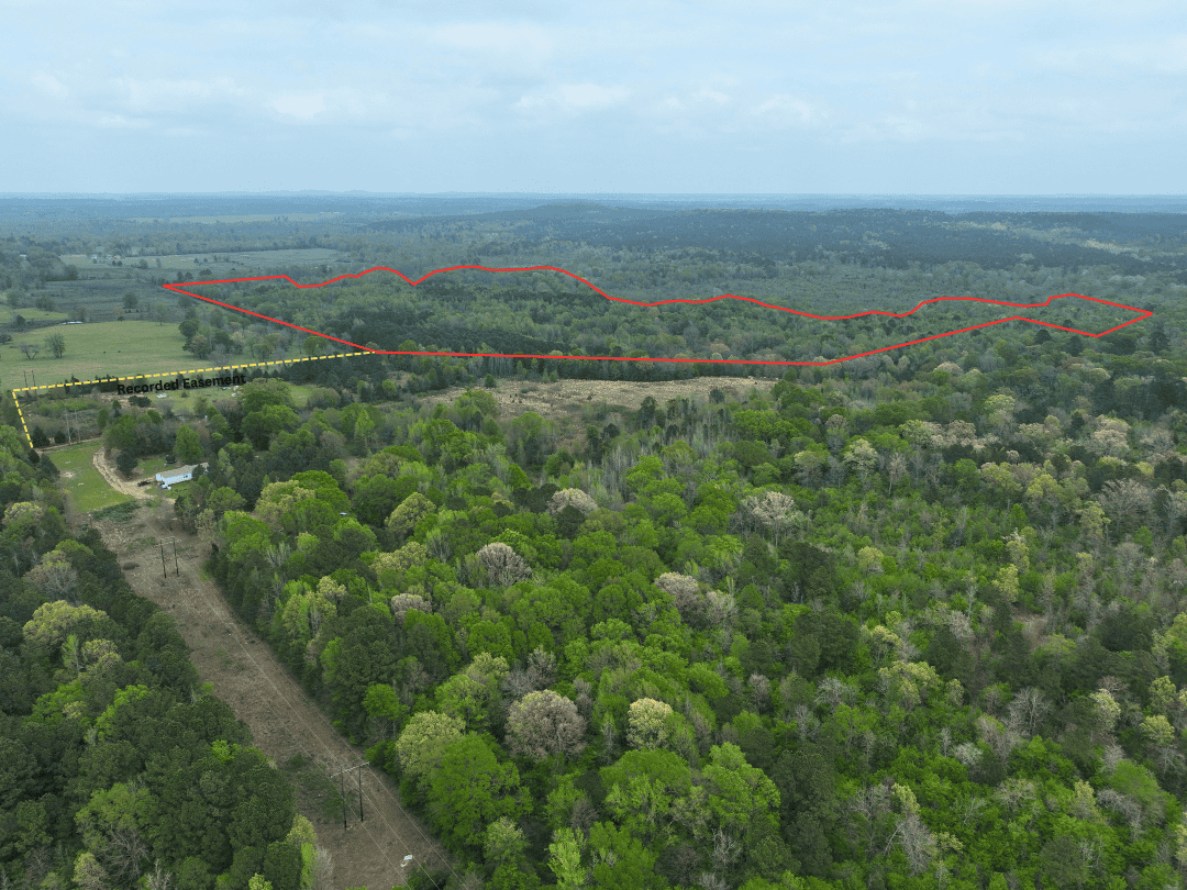 Secluded East Texas Hunting Land – Prime Deer & Waterfowl Property
