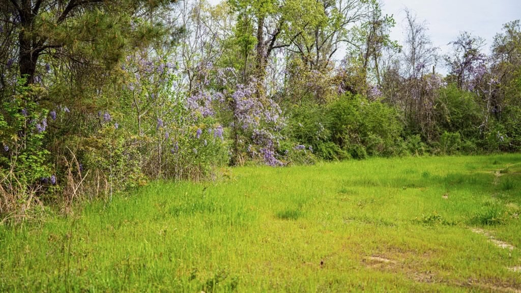 Affordable Property in Woodville, MS