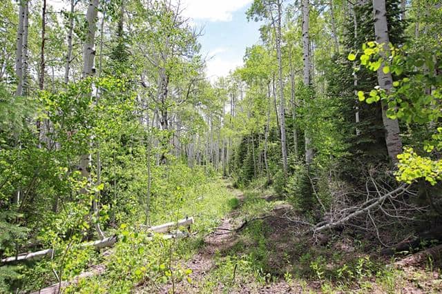 Colorado Hunting Land For Sale Near Vega State Park