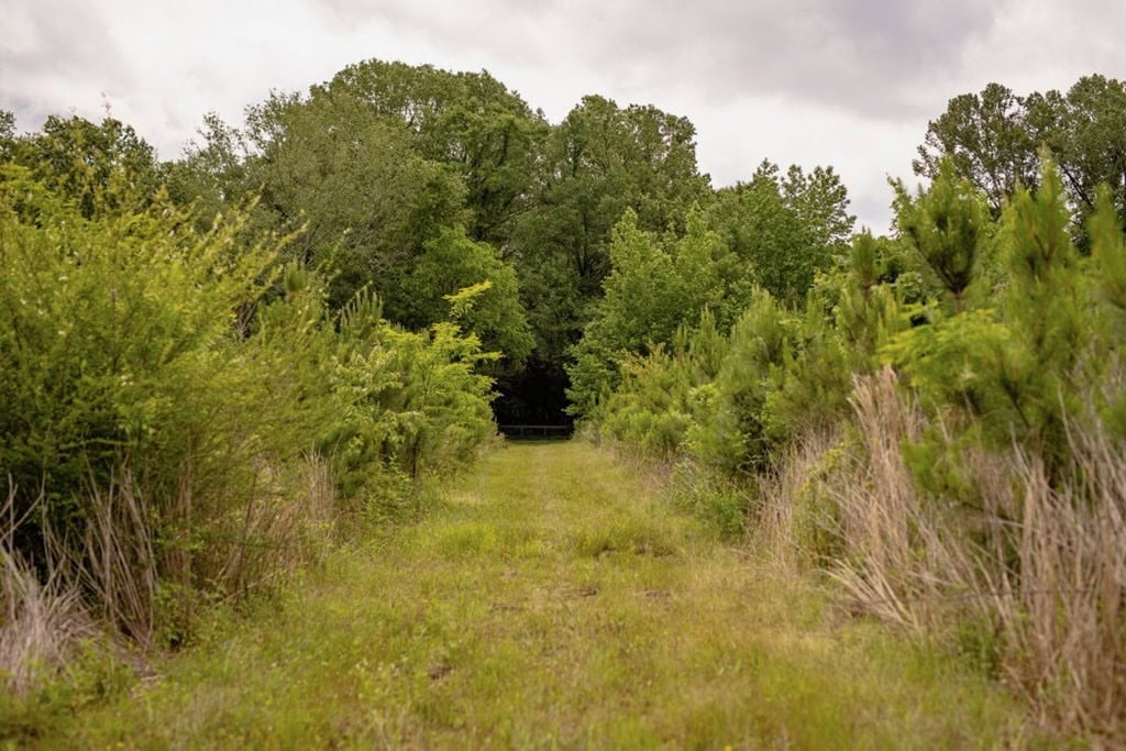 Deer, Duck, and Turkey Hunting in Claiborne County, MS