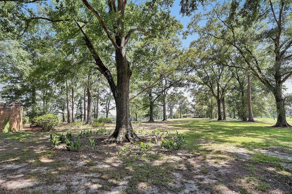 Beautiful Colonial Home on Acreage in East Feliciana Parish