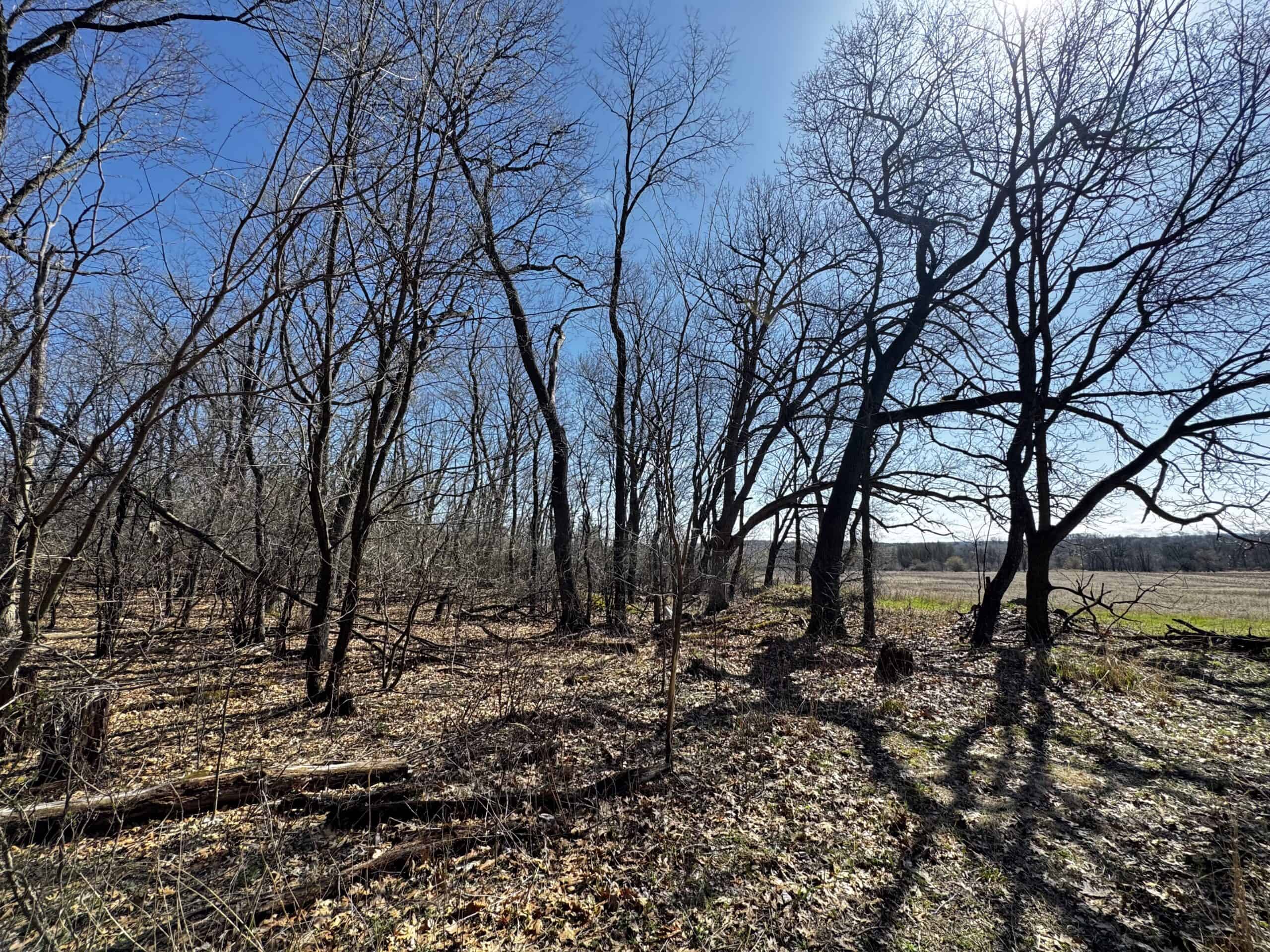 2 Properties Marquette County Online Only Auction