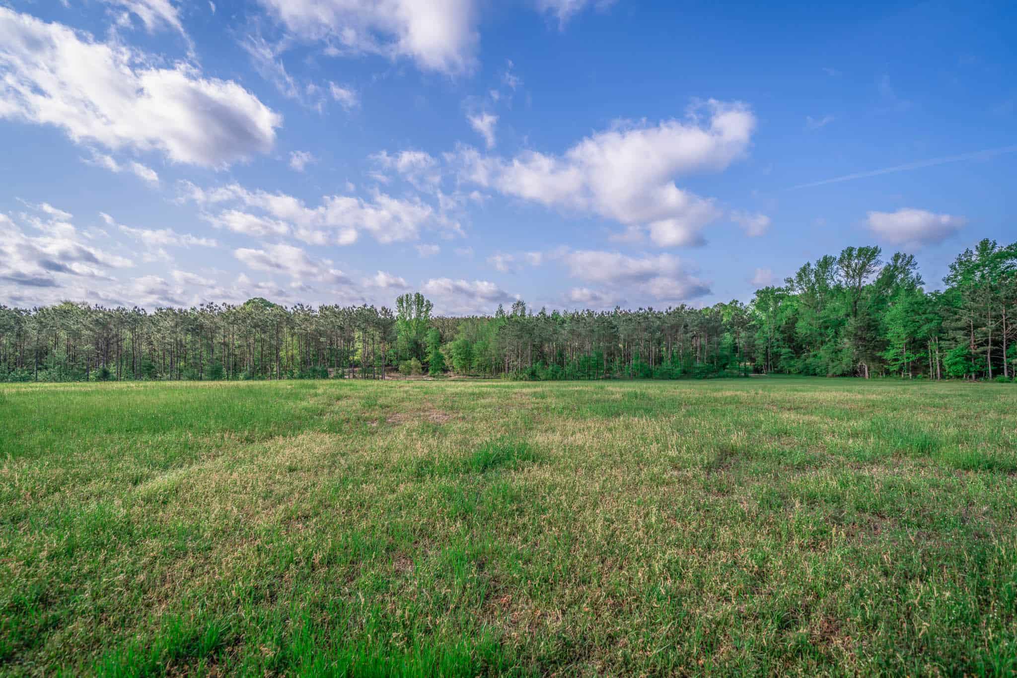 Twin Pine Ranch, An Exceptional East Texas Ranch Property