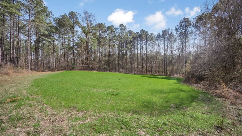 Amite County Hunting Land for Sale