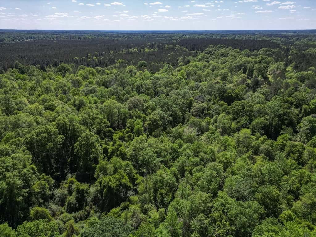 Deer and Turkey Property in Pike County, MS