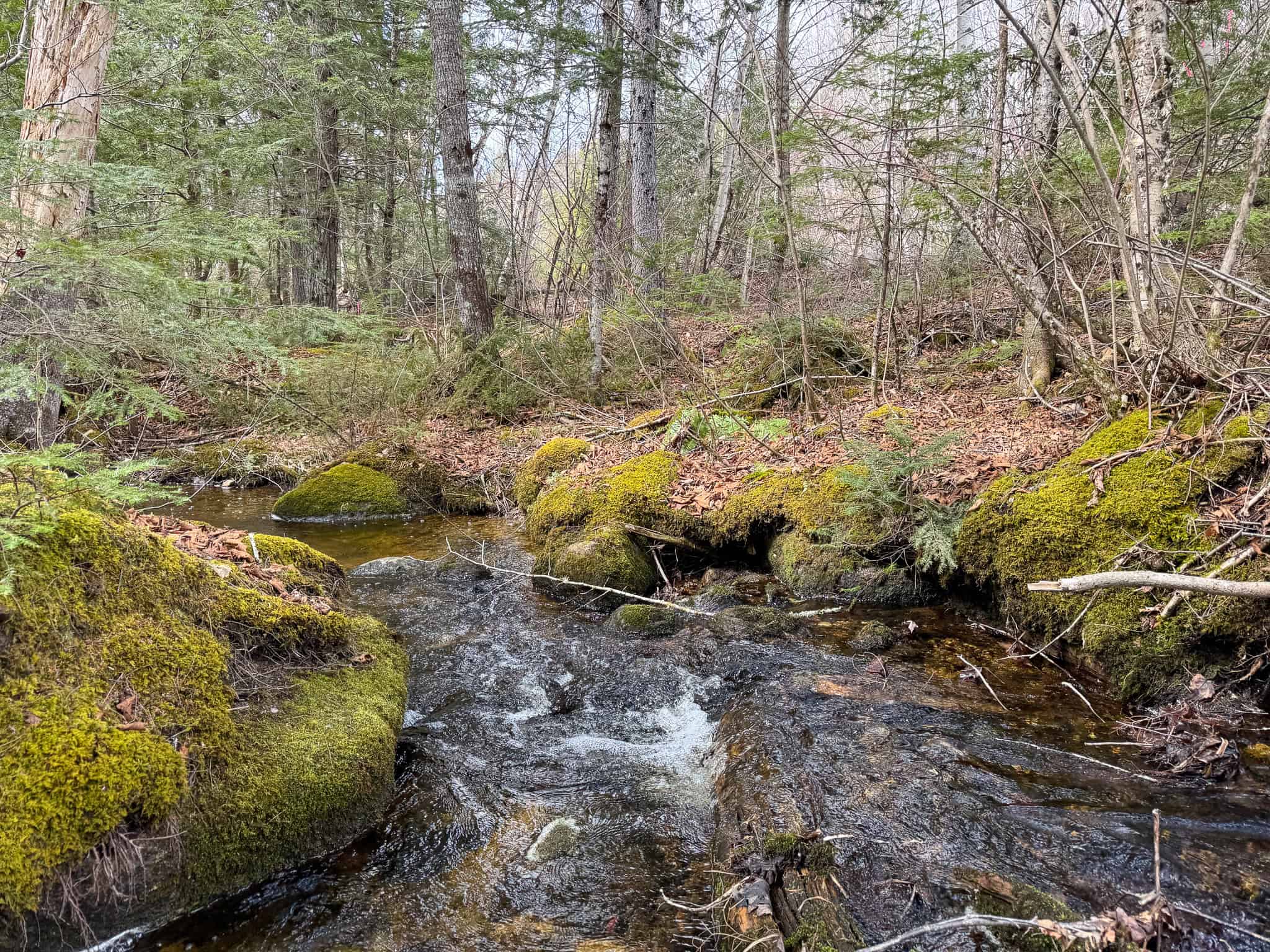 40.8 Acres of Off-Grid Paradise in Lakeville, Maine