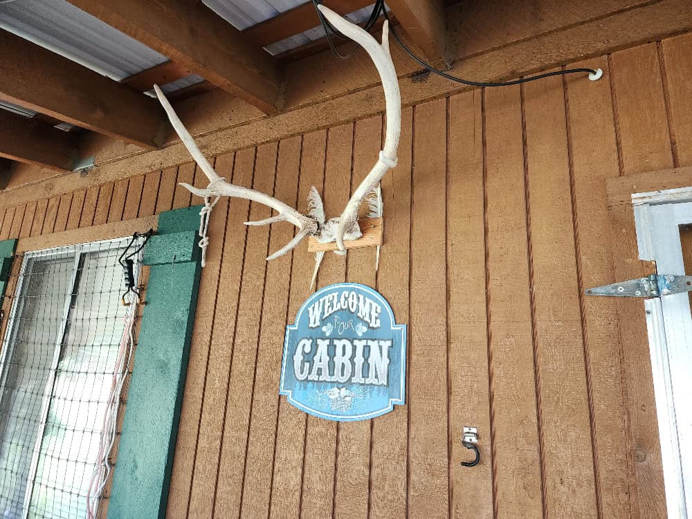 Cabin on 36 Acres with National Forest Access