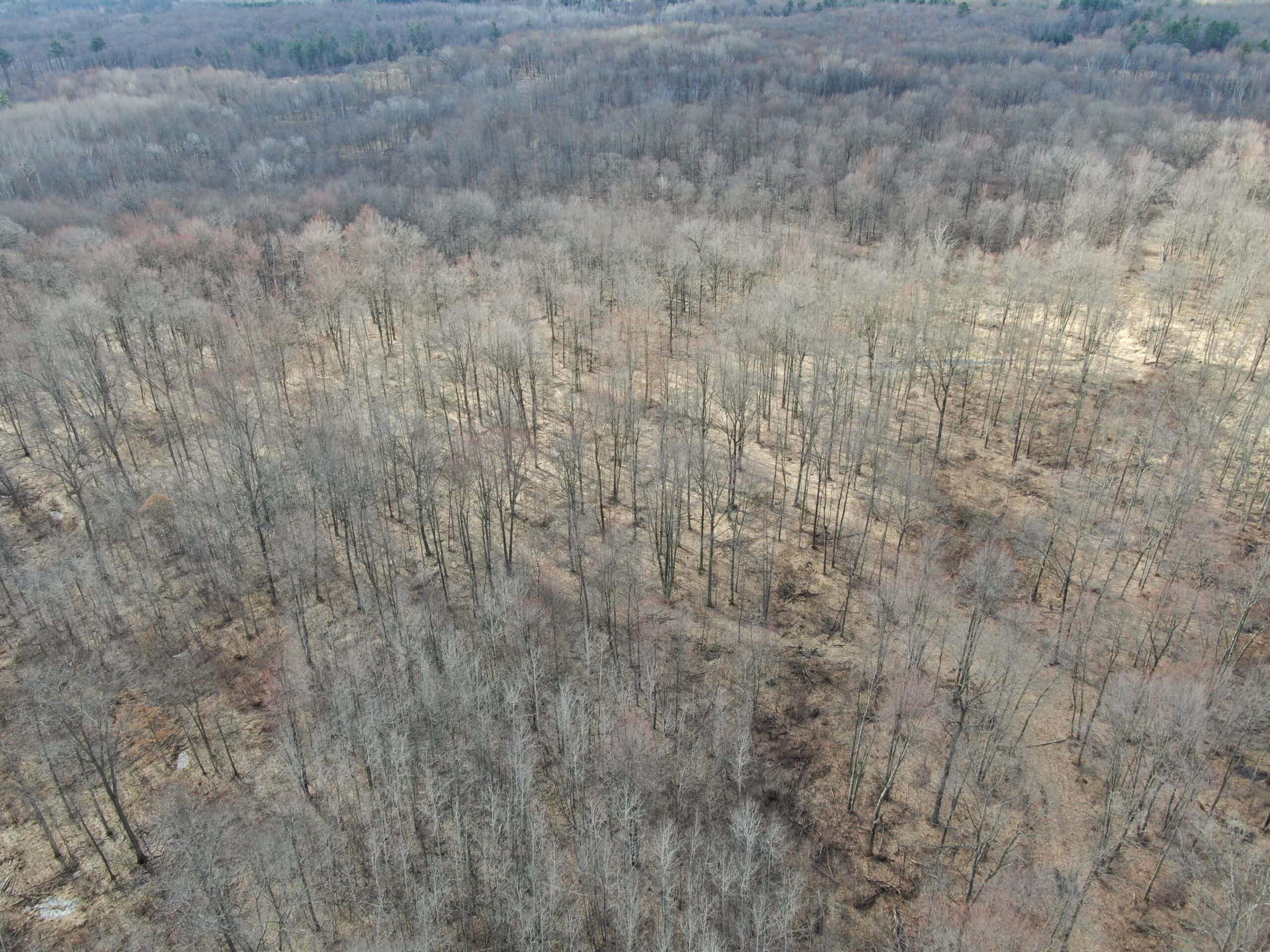 75-acre parcel in the heart of Clark County Wisconsin