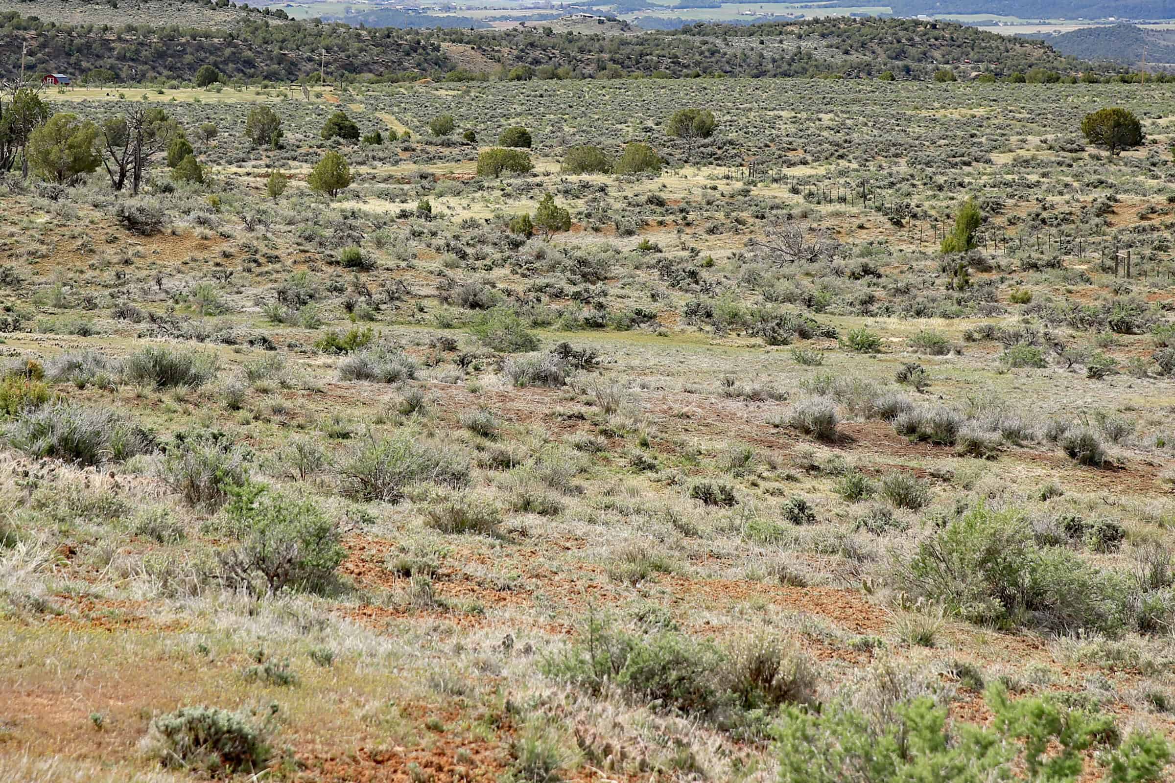 Vacant Hunting Land Bordering Public Land, BLM Access on Western Slope Colorado