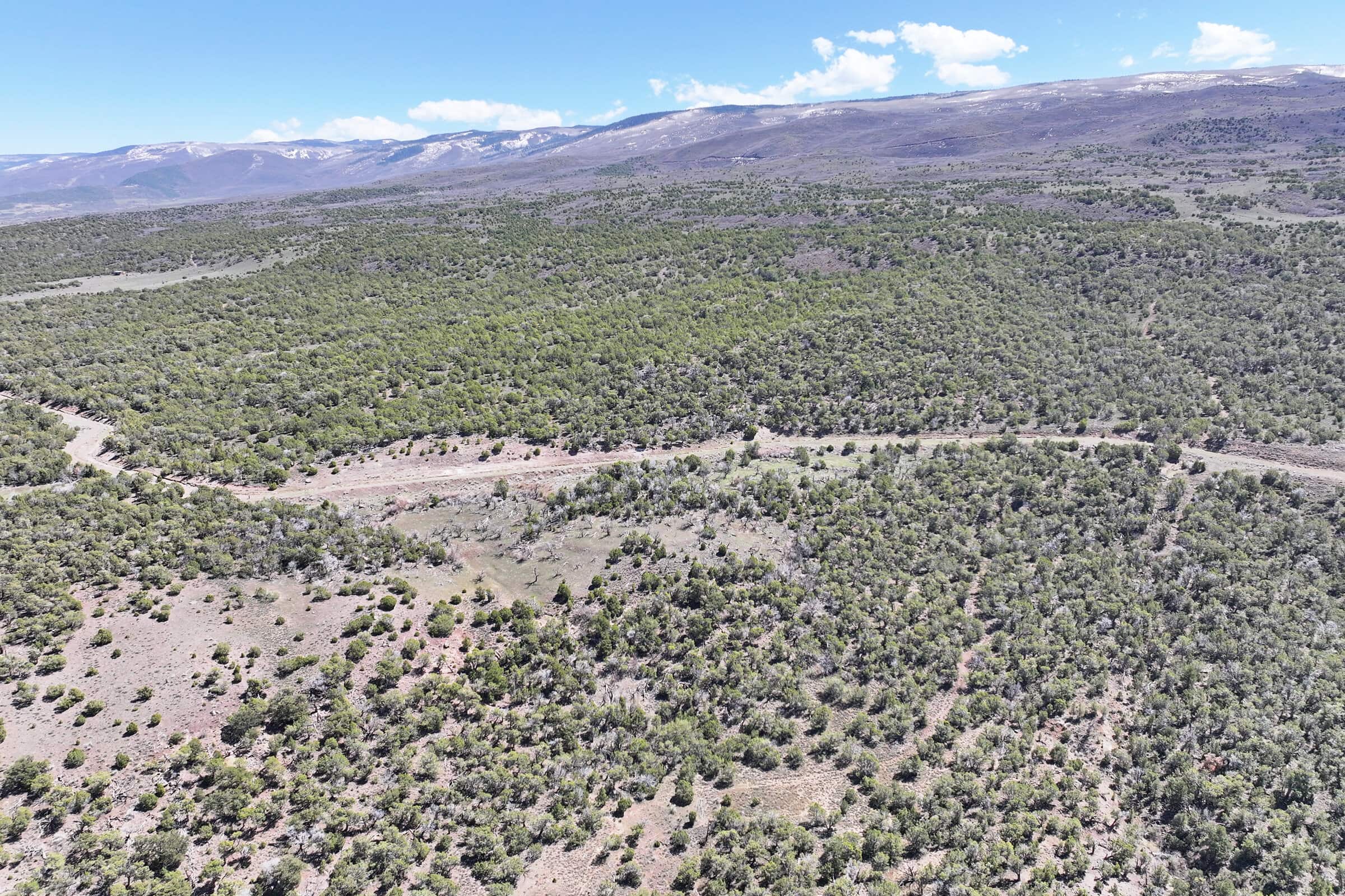 Colorado Mountain Vacant Land in GMU 421 Bordering BLM in Mesa County