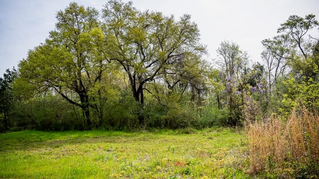Affordable Property in Woodville, MS