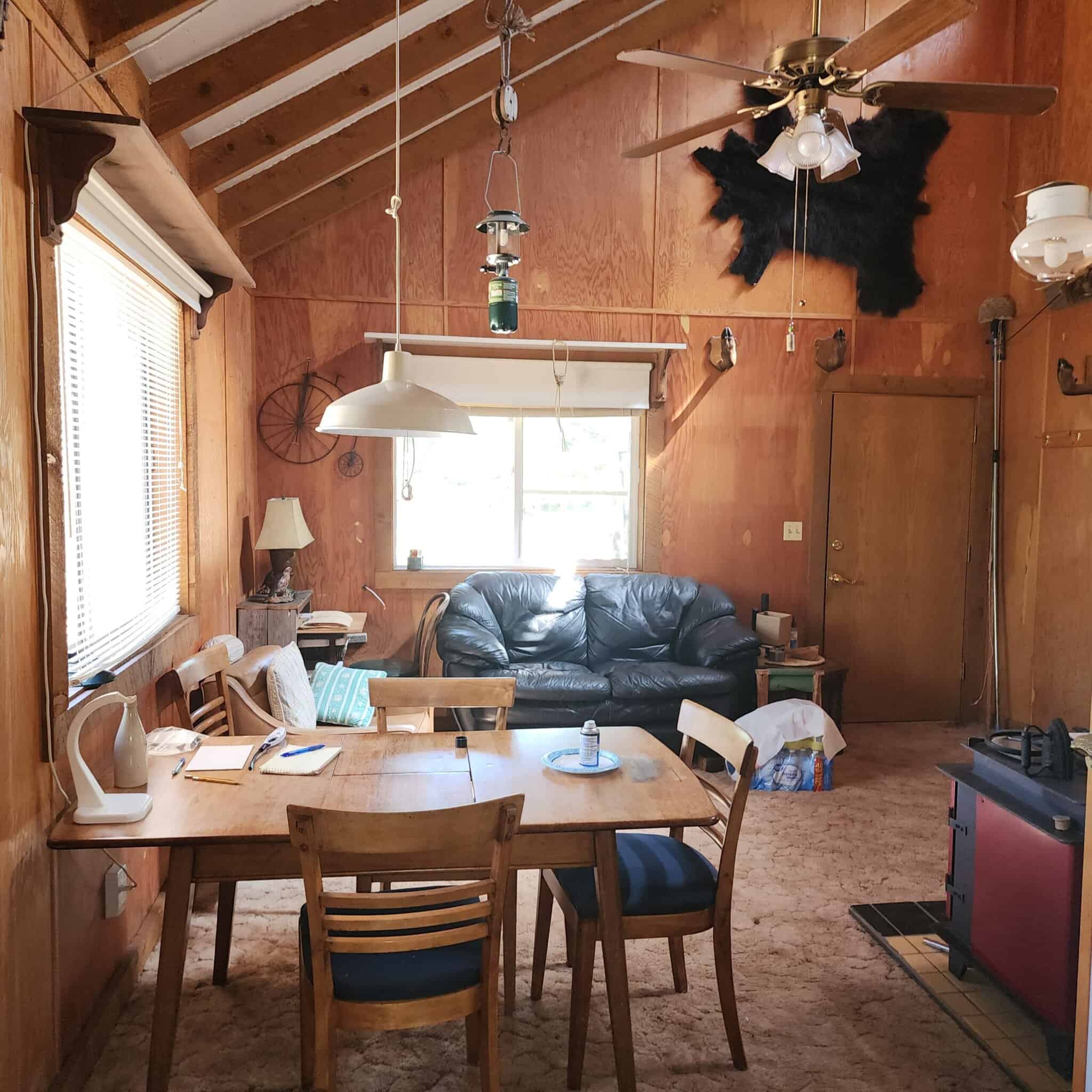 Cabin on 36 Acres with National Forest Access