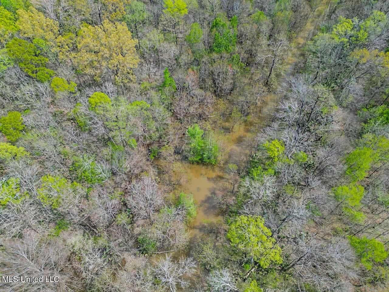Great Duck/Deer Combo in Concordia Parish
