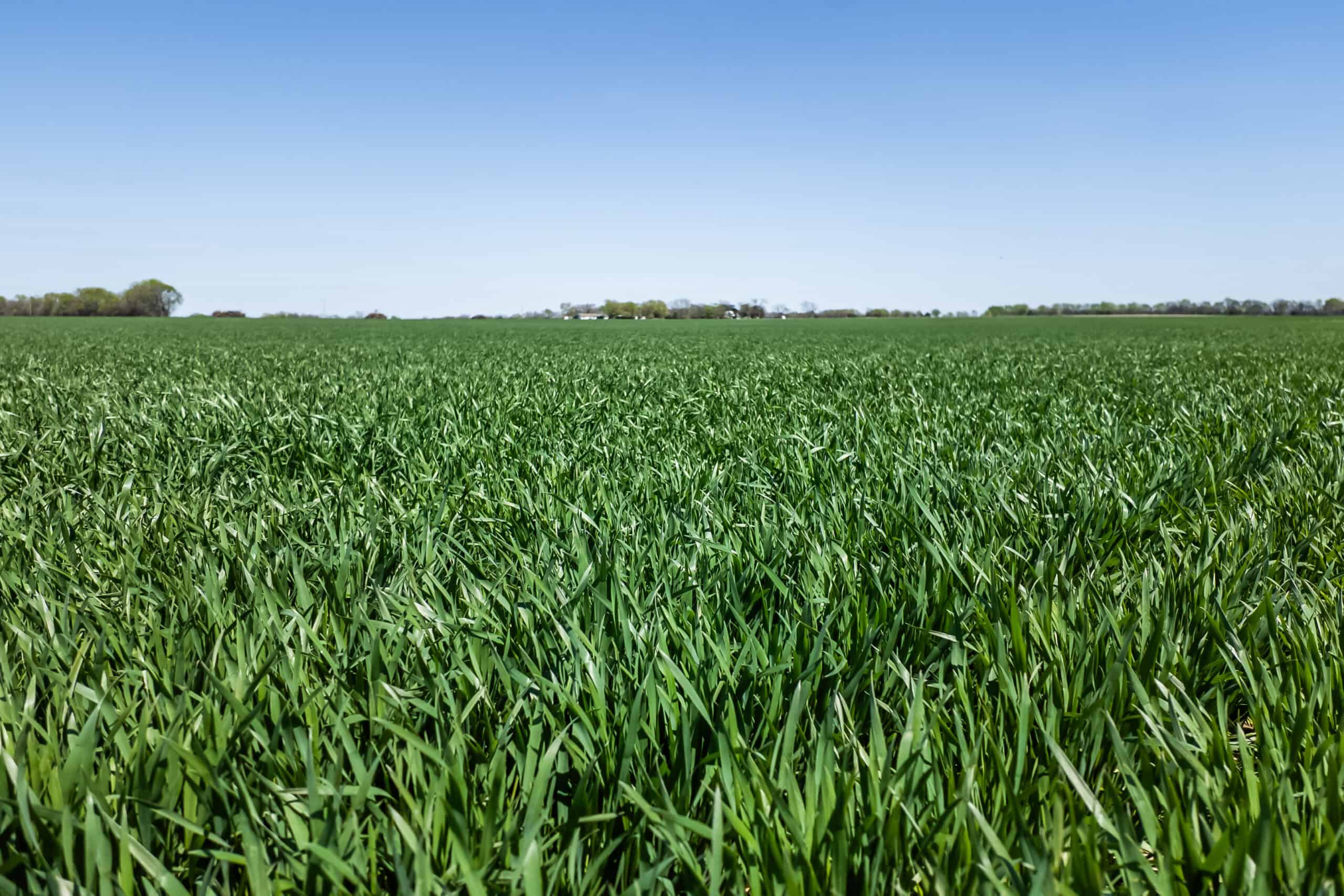Montgomery County, KS Mixed-Use On-Line Land Auction