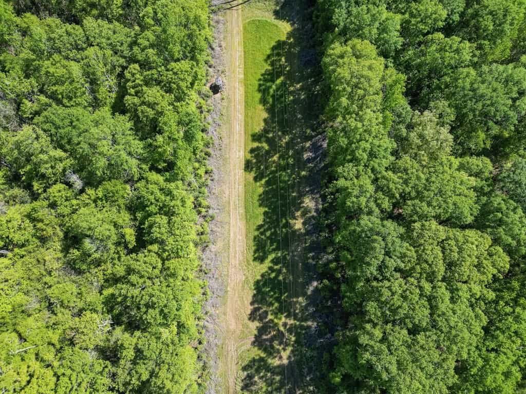 Deer and Turkey Property in Pike County, MS