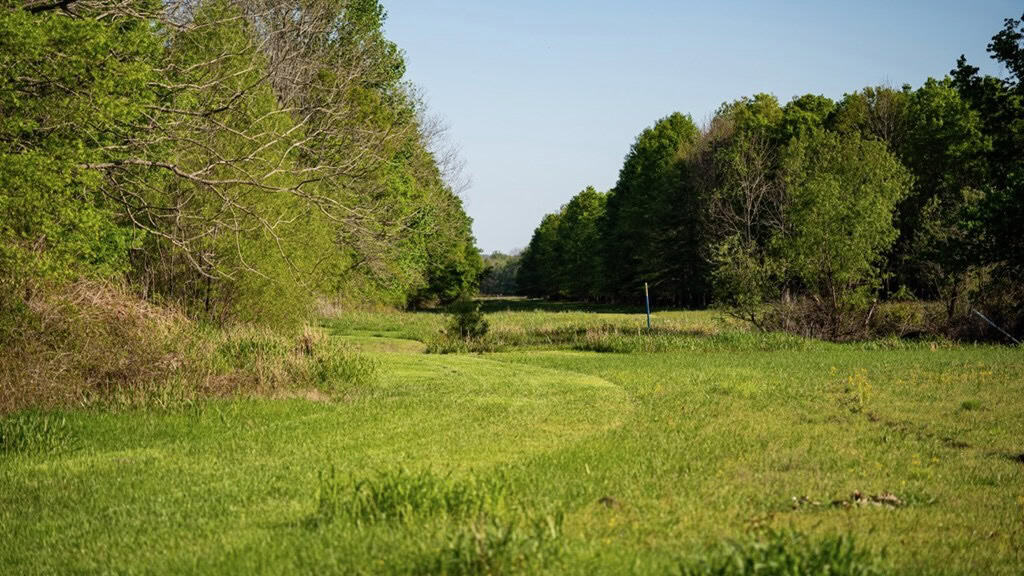 Legacy Waterfowl Hunting in the Mississippi Delta