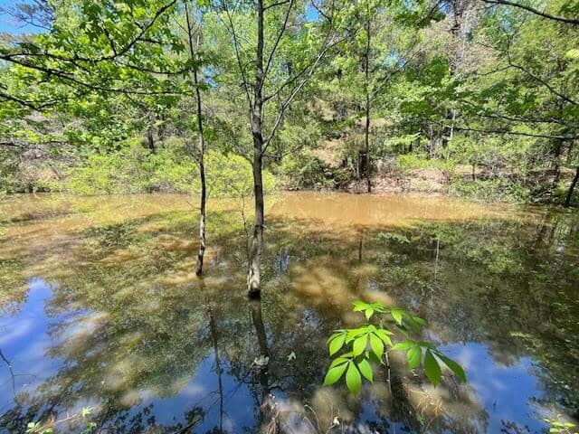 40 Acres For Sale Starkville MS