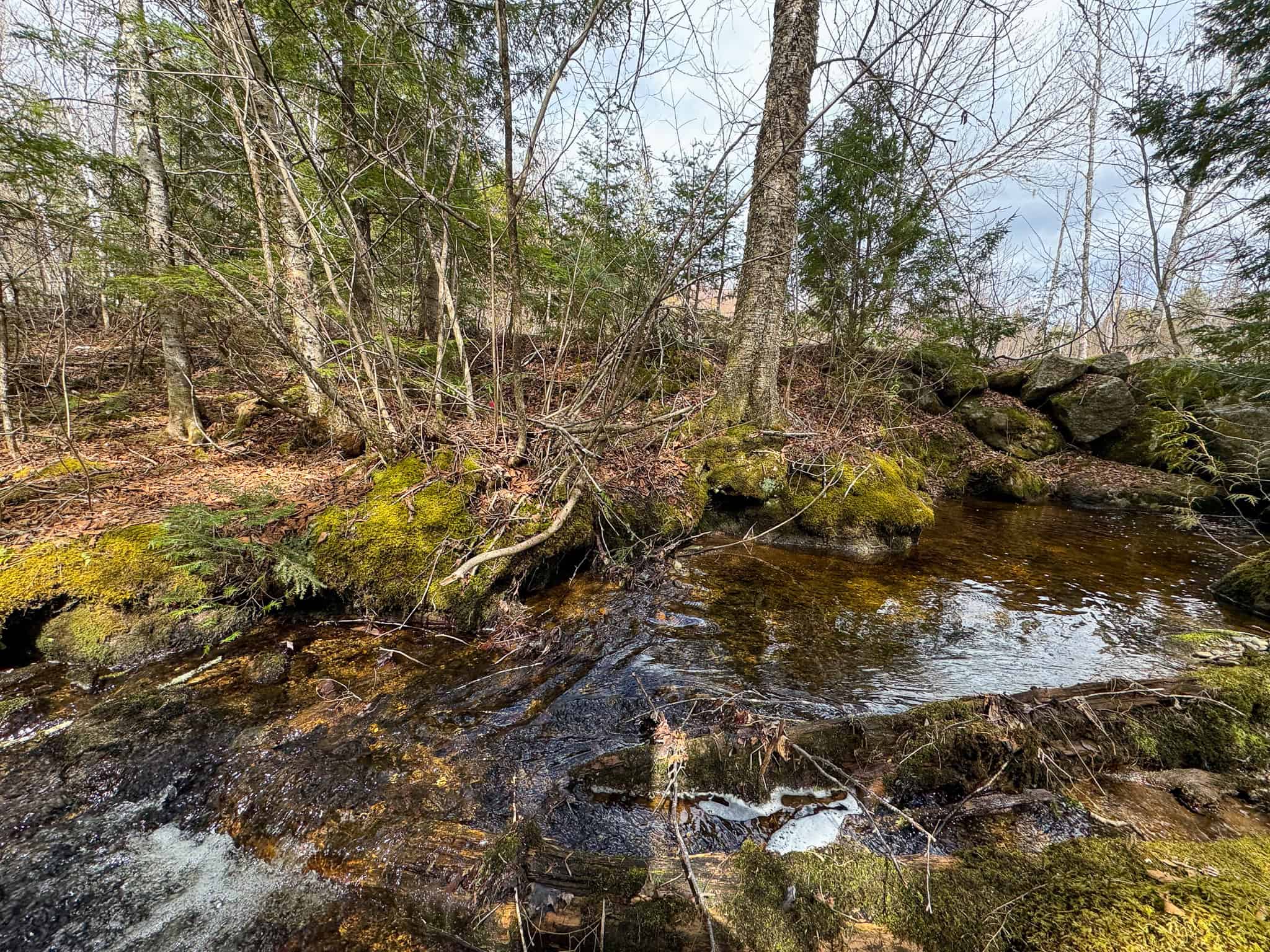 40.8 Acres of Off-Grid Paradise in Lakeville, Maine