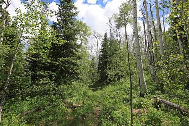 Colorado Hunting Land For Sale Near Vega State Park