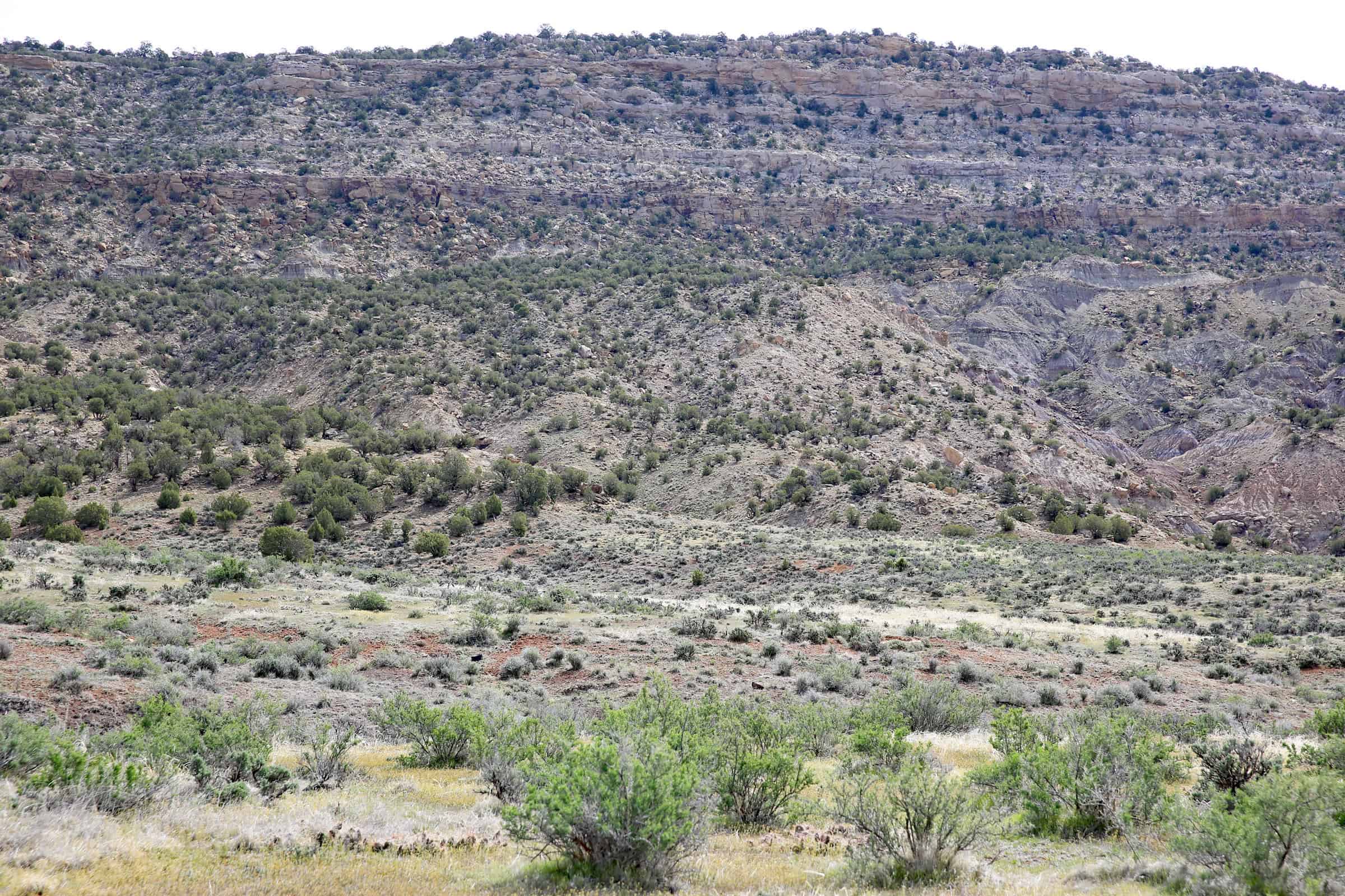 Vacant Hunting Land Bordering Public Land, BLM Access on Western Slope Colorado