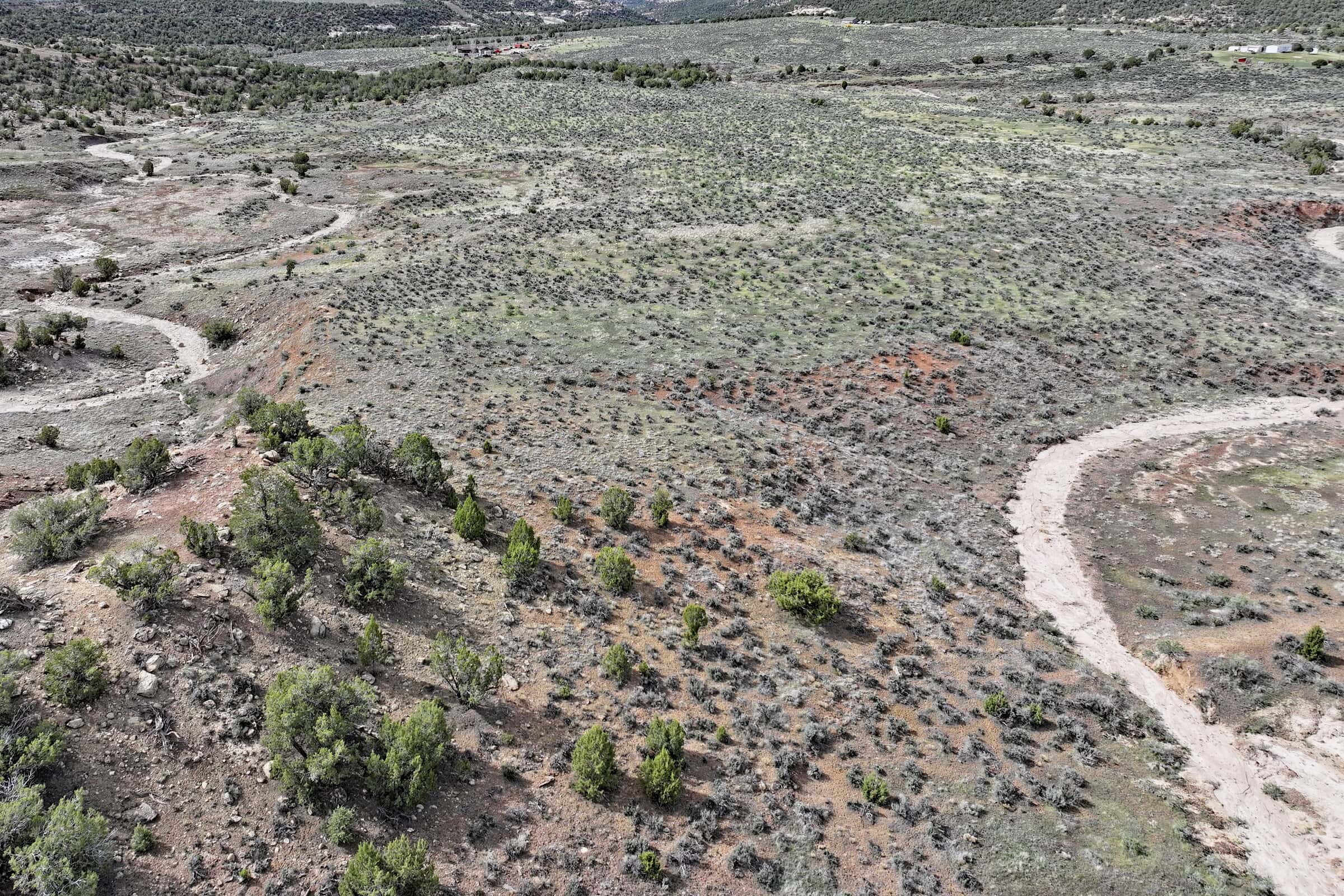 Vacant Hunting Land Bordering Public Land, BLM Access on Western Slope Colorado