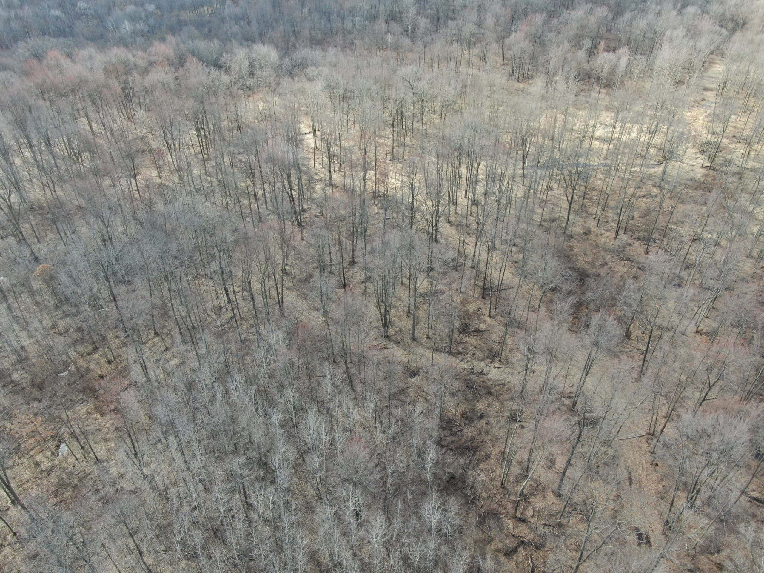 75-acre parcel in the heart of Clark County Wisconsin