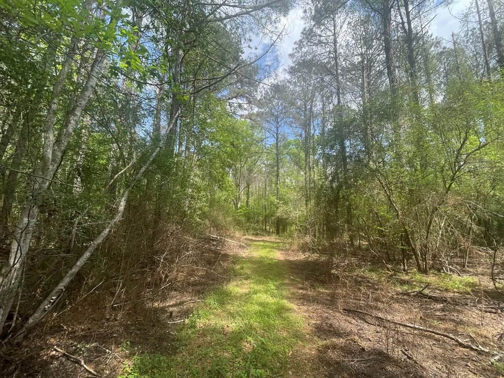 Amite County 38.6 Acres For Sale
