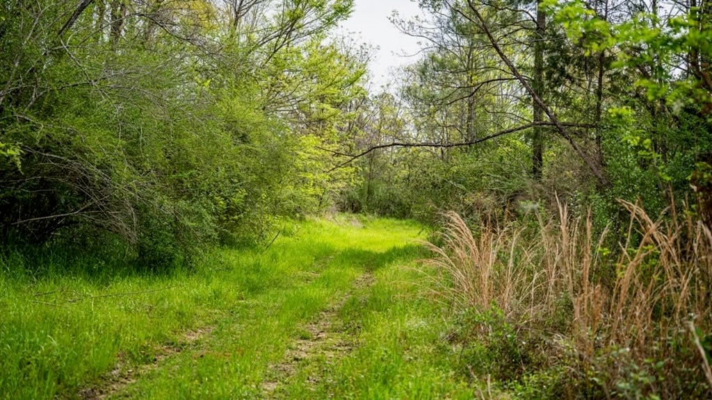 Affordable Property in Woodville, MS