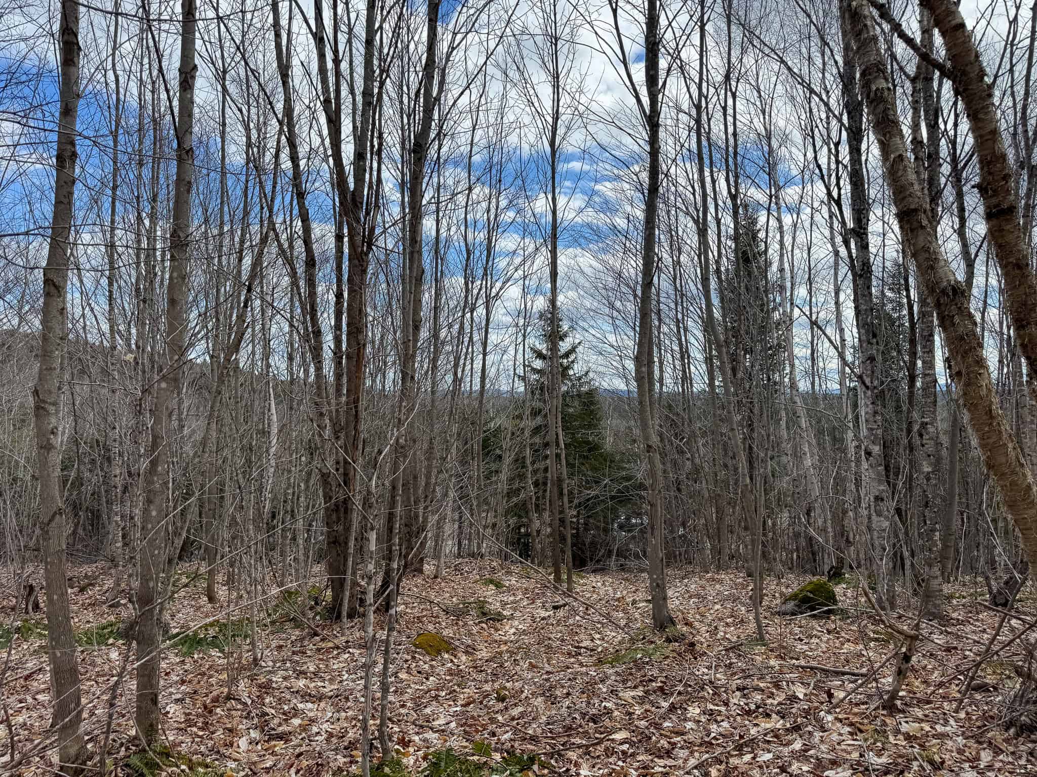 40.8 Acres of Off-Grid Paradise in Lakeville, Maine
