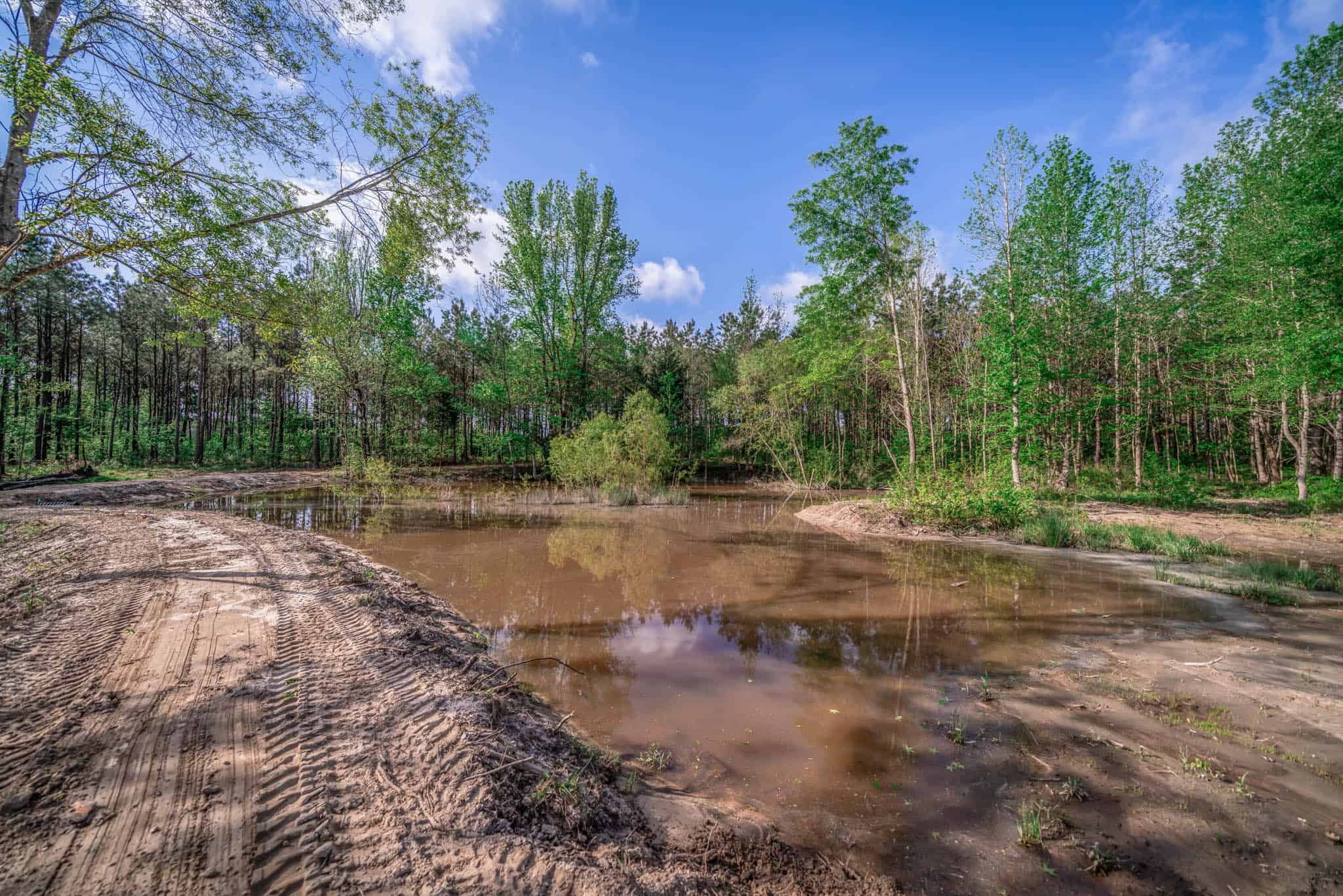 Twin Pine Ranch, An Exceptional East Texas Ranch Property